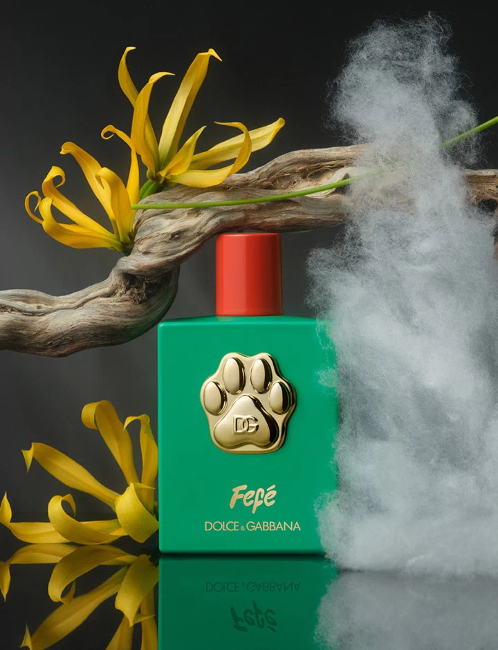 Bouteille du parfum Fefé de Dolce & Gabbana pour chiens avec un design luxueux et une patte dorée en relief